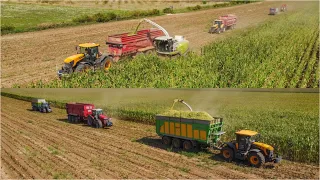 🌽Veľké siláže 2023 - CLAAS Jaguar 870 a 10 traktorov v odvoze; AT Dubník