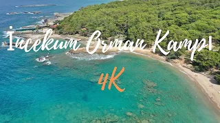 İncekum Orman Kampı drone footage in 4K [ TURKEY ] #alanya #antalya #turkey #incekum #djiglobal