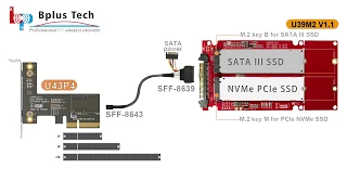 U39M2 V1.1 (M.2 SSD to U.2 SFF-8639 Adapter Card)