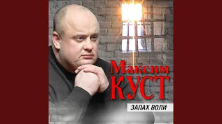 Соло разбитой скрипки