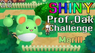 SHINY MARILL (Pokemon Omega Ruby) - Shiny Prof. Oak Challenge [69/407]