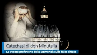 LE VISIONI PROFETICHE DELLA EMMERICK SULLA FALSA CHIESA  - UNDICESIMA PUNTATA