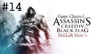 Assassin's Creed IV: Black Flag #14 [Охота на Горбатого Кита]