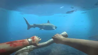 Tiger Shark - Stranded Deep on Steam