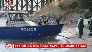 16-year-old girl dies after suspected shark attack in Perth