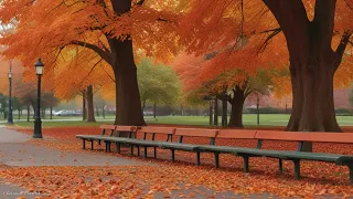 Classical music for a romantic autumn. Classical music relaxes the soul and heart - Mozart, Beethove