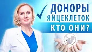 Кто может стать донором яйцеклетки? Основные анализы и обследования для донора яйцеклетки