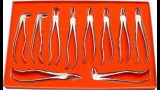 Dental Forceps Basics