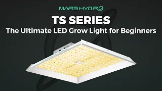 2022 New Version!! Mars Hydro TS Series LED Grow Light Optimization