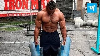 Body Transformation Workouts - Stefan Rivera | Muscle Madness