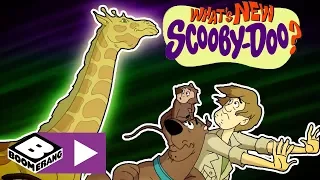 What's New Scooby-Doo? | Fluorescent Animals | Boomerang UK