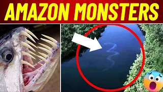 Top 15 Deadliest Amazon River Monsters You Did See Before!