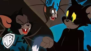 Tom et Jerry en Français | Chats noirs et chauves-souris | WB Kids