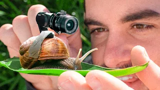 Why I put a camera on a snail