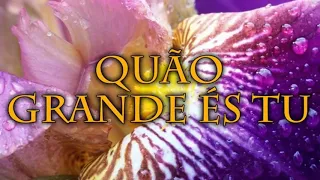 Hinário Adventista 34 - QUÃO GRANDE ÉS TU