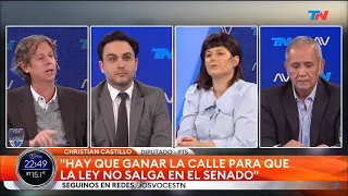 Christian Castillo: "Hay que ganar las calles para que esta ley nefasta no pase en el Senado."