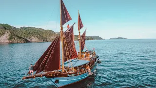 AMAZING Raja Ampat Dive Liveaboard Trip!