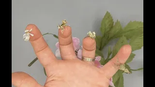 A look at the Flower Mantis Family with an Orchid, Ghost, Spiny, and Banded Flower.  All are amazing