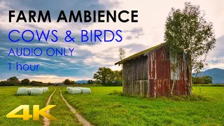 Nature Sounds • Farm Ambience with Birds & Cows • 1 Hour • HQ Audio