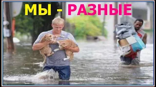 2.4 Мы - разные. Одни различают дни, другие - нет  (Римл.14:5). Свидетели Иеговы