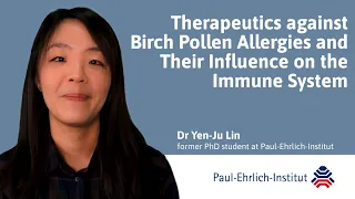 Therapeutics against birch pollen allergies and their influence on the immune system