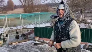 УКРАИНСКОЕ СЕЛО .СТРАУС ОСТАЛСЯ ОДИН.