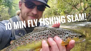 Fly Fishing Slam - Pisgah National Forest, NC