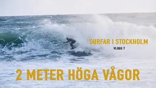 SURFAR 2M VÅGOR I STOCKHOLM ( TORÖ ) - VLOGG 7