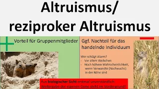 Altruismus/ altruistisches Verhalten/ reziproker Altruismus [Biologie, Oberstufe]