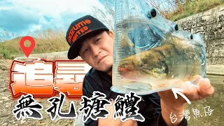 只要邏輯對！就能找到「牠」的家｜目前唯一讓路玩買魚缸的「台灣魚仔」#台灣原生種#無孔塘鱧#fidelity