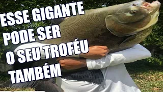 SE VOCÊ NÃO QUER MAIS PERDE PEIXE E FICAR DE MENTIROSO ASSISTA ESSE VÍDEO E APRENDA