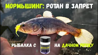 РОТАН НА МОРМЫШИНГ. РЫБАЛКА С ELEVEN LURES НА ДАЧНОМ ПРУДУ В ЗАПРЕТ.