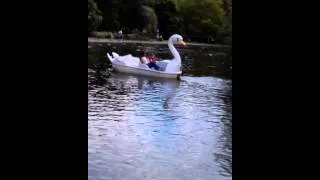 Swan boat ride