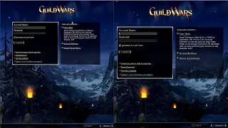 Run 2 or More Guild Wars Accounts [2023 Guide]