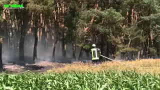 Waldbrand in Lünne  keine leichte Aufgabe für die Einsatzkräfte bei über 30 Grad