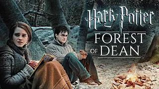 Camping with Harry & Hermione in the forest ◈ Harry Potter inspired Ambience + Dialogue / Soft Music