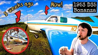 BARN FIND V-TAIL BONANZA FIRST FLIGHT IN 15 YEARS!!!