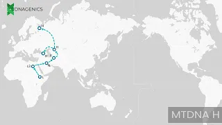 MTDNA H - DNAGENICS