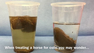 Treating Colic With Electrolytes