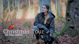 So this is Christmas - The Christmas Overnighter in the forest - Vanessa Blank - 4K