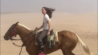 Foggy horse riding in Morocco