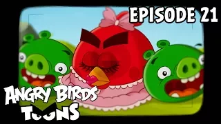 Angry Birds Toons | Hypno Pigs - S1 Ep21