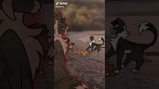 a tiktok of tigerstar being sad and happy at the same time