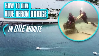 How to dive Blue Heron Bridge | 1 minute orientation for Scuba Divers | Phil Foster Park -Down to 60