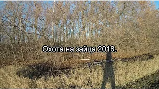 Охота на зайца 2018