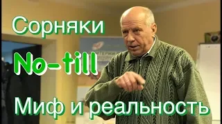 Сорняки в No-till - миф и реальность