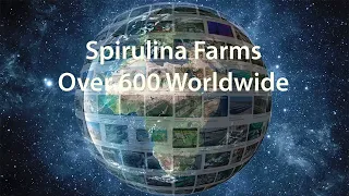 Spirulina Farms • Over 600 Worldwide