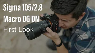 Sigma 105/2.8 Macro DG DN │ First Look │ The Perfect Macro and Portrait lens combo!
