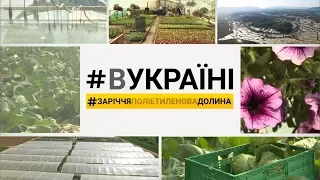 Поліетиленова долина | #ВУКРАЇНІ