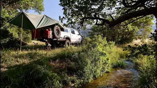Living w/ My Dog in a 4x4 Truck in Colorado: Mellow Start to the Week